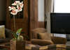 Melia Royal Tanau Boutique Hotel 
